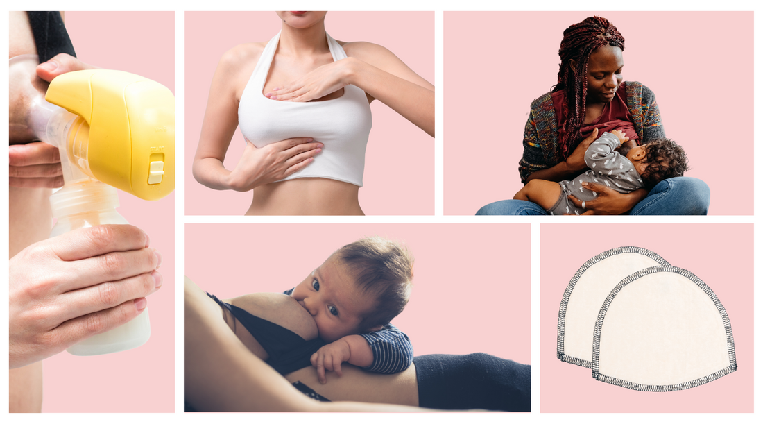 Breastfeeding Glossary: Terms to Know – Leaxy